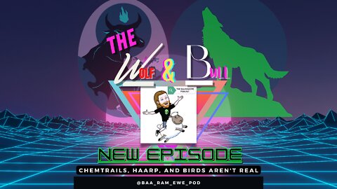 Chemtrails, HAARP, and Birds Aren't Real | Episode 53 FEAT. BAA-RAM-EWE Podcast