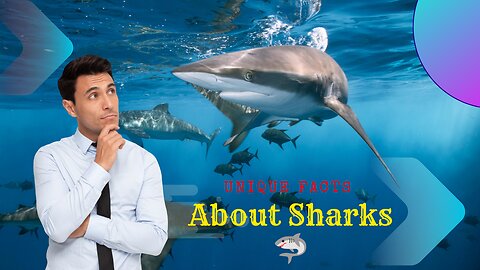 Discover Shark Secrets!🦈 Amazing Facts & Lessons" shark facts, ocean education, marine life, Facts