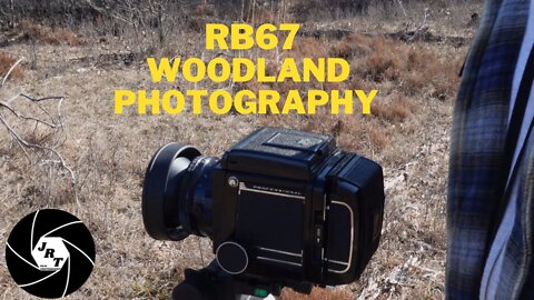 Woodland Photography with the RB67, Pinelands part 9