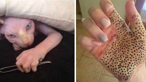 11 Disturbing Pictures That Will Let Your Eyes Out Of The Head
