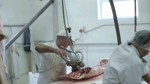 Butcher Cutting Pork Meat in Meat Factory Fresh raw pork chops in meat factory Meat processing in