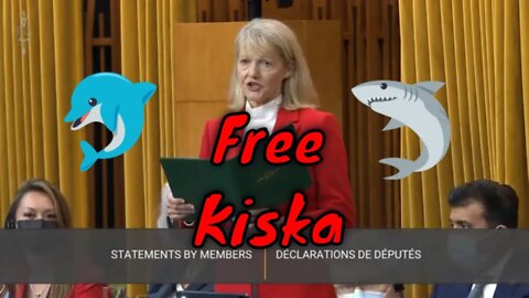 Free Kiska - 45 Year Old Orca Whale In Capture @ #Marineland Ontario 🦈🐬#FreeKiska