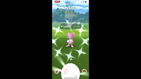 Pokémon go - Shiny Sneasel
