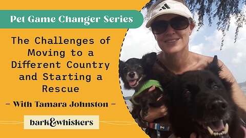 The Challenges of Moving to a Different Country and Starting a Rescue With Tamara Johnston