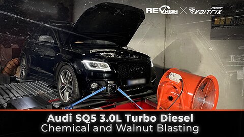 Audi SQ5 3.0L Turbo Diesel Chemical and Walnut Blasting