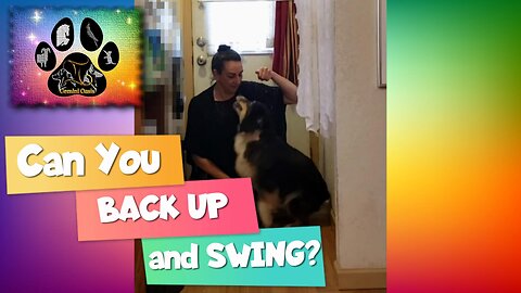 Gemini Oasis Dog Training: Can You Back Up and Swing?