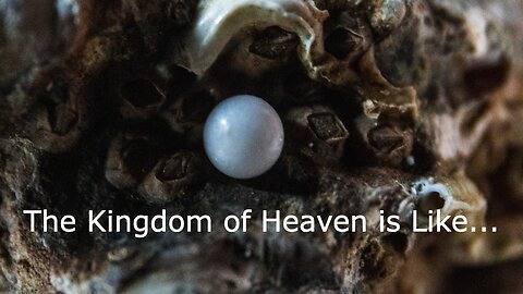 August 6, 2023 - The Kingdom of Heaven Is Like - Matthew 13:44-52