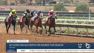 No horse racing deaths or injuries this season