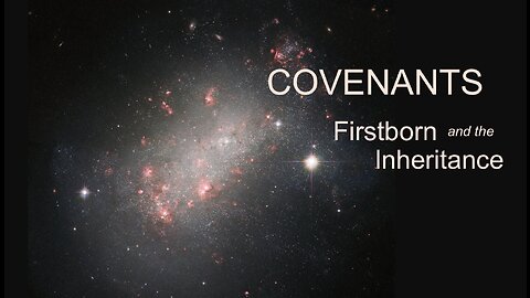 Covenants of God — The Firstborn and the Inheritance