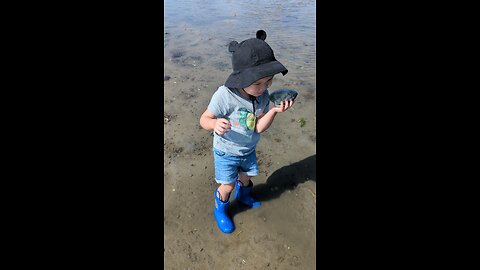 Let's Go Clamming! Fun and Educational Homeschool Activities for Kids in Massachusetts