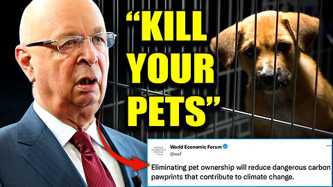 WEF Wants To Slaughter Millions of Pet Cats and Dogs To Fight Climate Change