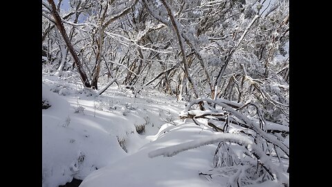 Mount Torbreck - Winter Wonderland