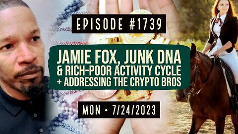 Owen Benjamin | #1739 Jamie Fox, Junk DNA & Rich-Poor Activity Cycle + Addressing The Crypto Bros