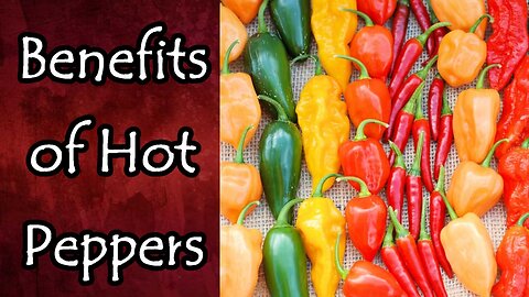 Benefits of Hot Peppers