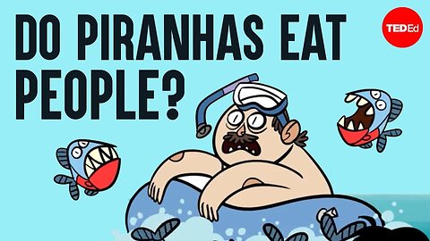 What happens when you fall into piranha-infested waters?