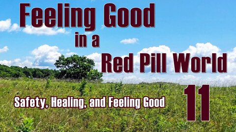 Feeling Good in a Red Pill World . -- Safety, Healing, and Feeling Good