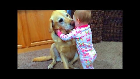 Cute Dogs Loving And Playing Funny Compilation 2021 Hahaha