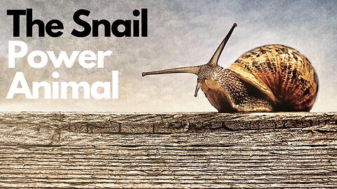 The Snail Power Animal