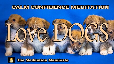 FEAR of DOGS | Meditation | Relaxing | Confidence | Subliminal Affirmation | Stress Relief #letsfly
