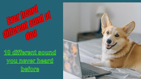 Different sound barks of dog