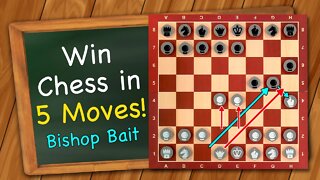How to win Chess in 5 moves by baiting your opponent!