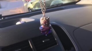 Akron woman heartbroken after mother's ashes stolen from car