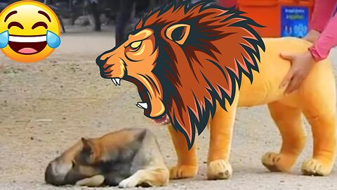 Troll Prank Dog Funny & fake Lion and Fake Tiger Prank To dog