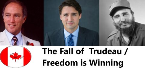 The Fall of Trudeau / Freedom is Winning