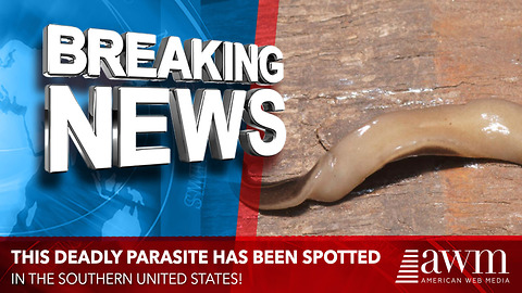 Deadly New Parasite Spotted In North America For The First Time