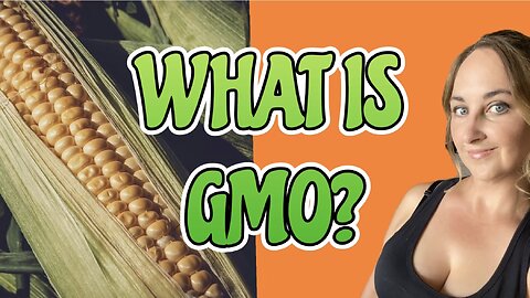 The Impact GMO Has On Our Food and Environment