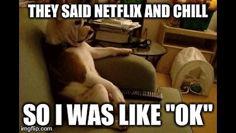 Funny Hilarious DOG Reaction 😂😂🙌