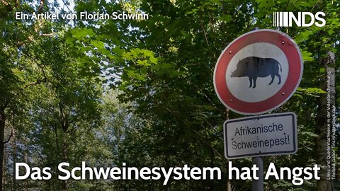 Das Schweinesystem hat Angst | Florian Schwinn | NDS-Podcast