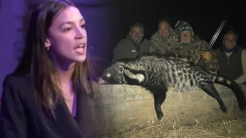 The Civet, SARS Song, Demographic Worries in USA, Puerto Rico Corruption (Wed 1/22/20)