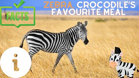 Interesting facts about Zebra