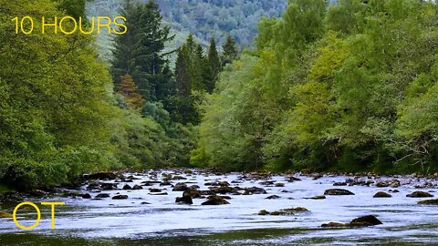 Relaxing River in the Scottish Highlands | Flowing Water & Atmospheric Sounds for Relaxation | Sleep