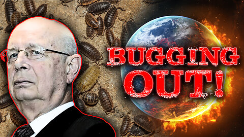 Bugging Out! Tyson's Bug Buffet: Will Consumers Crawl or Crave?