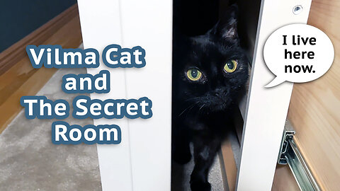 Vilma Cat and The Secret Room