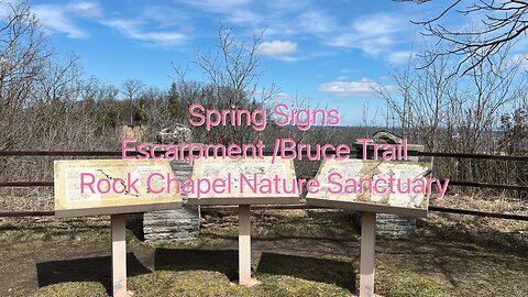 Nature’s Awakening / Escarpment Views | Bruce Trail| Rock Chapel Nature Sanctuary 2/4