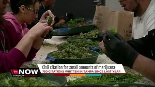 Bill to decriminalize small amounts of marijuana