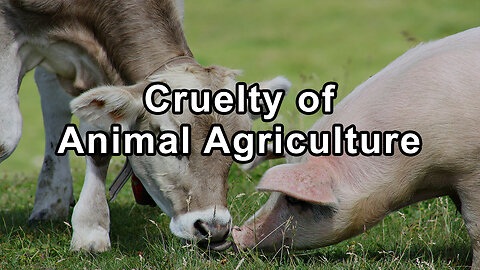 Illuminating the Hidden Cruelty of Animal Agriculture - Hope Bohanec
