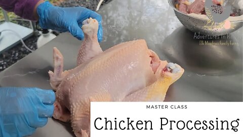 How To: Chicken Processing | Adventures In Reality