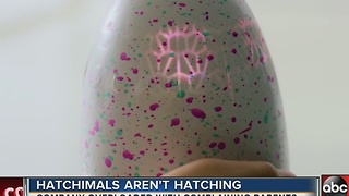 Hatchimals aren't hatching