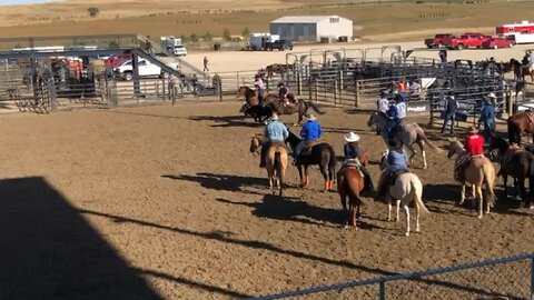 Bull Dogging at Rodeo