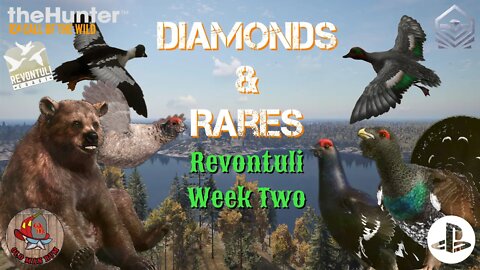 Revontuli Second Week Diamond & Rare Highlights theHunter Call of the Wild