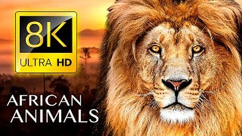 AFRICAN ANIMALS 8K ULTRA HD - Wildlife with Real Sounds 8K TV