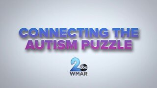 Connecting the Autism Puzzle