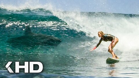The Shallows (1_10) Movie CLIP - Shark Attack (2016) HD