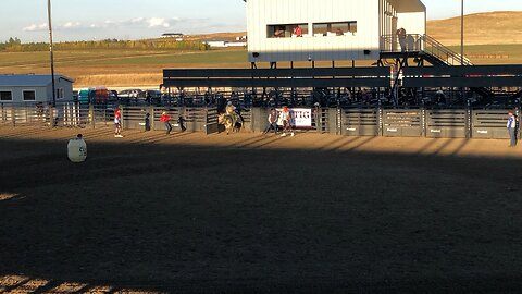 Bull Riding at Rodeo