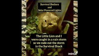 Survival Shelters and Solar Powered Lights