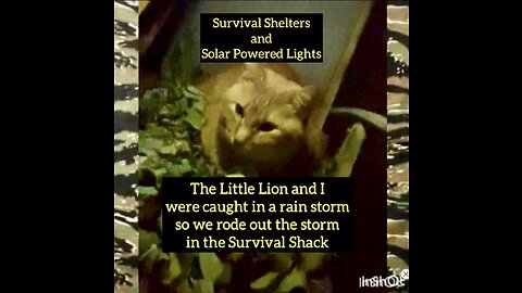 Survival Shelters and Solar Powered Lights